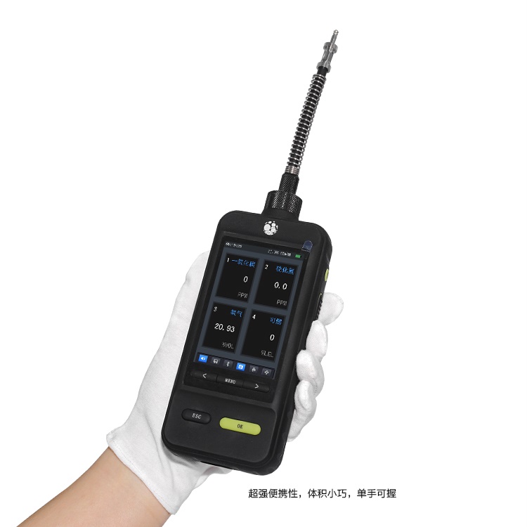 JG6000-CO泵吸式一氧化碳檢測儀