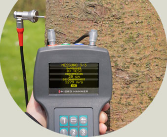 IML Micro Hammer樹木聲速測試儀
